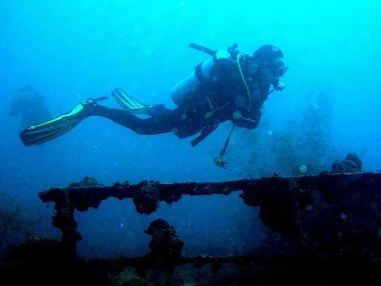 探索冷知识的苏州大学纳米学院生物分享平台 - 小而精的知识宝库