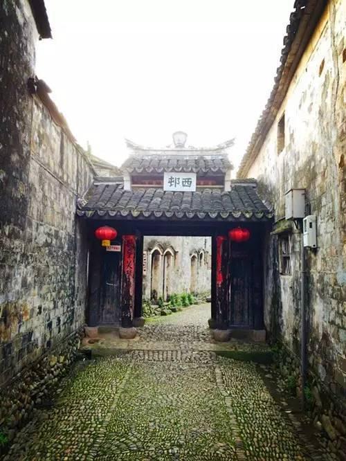 这一次,赵丽颖缺席,成了大深V、全露背红毯女星们的“教科书”
